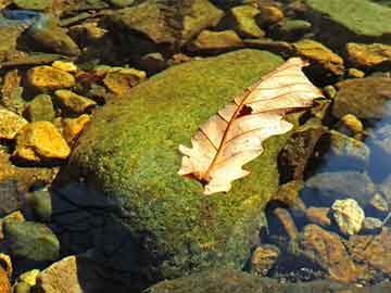 脈沖點(diǎn)火槍安全嗎,脈沖點(diǎn)火槍的安全性與評(píng)估策略，DX版84.57.36的深入剖析,連貫性執(zhí)行方法評(píng)估_L版24.20.45