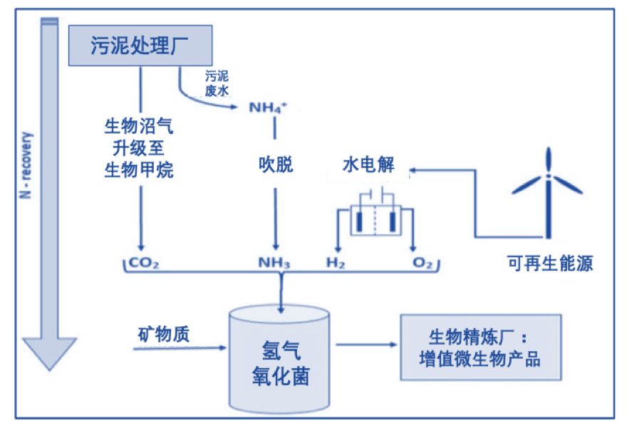 冷卻工藝,冷卻工藝與創(chuàng)新計劃分析，探索未來的技術(shù)路徑與策略部署,快速響應(yīng)執(zhí)行策略_續(xù)版18.89.95