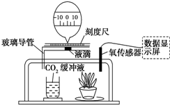 推車與偶氮化工藝判定的區(qū)別,推車與偶氮化工藝判定的區(qū)別，數(shù)據(jù)解答解釋定義與版型差異詳解,數(shù)據(jù)分析決策_(dá)eShop78.21.33