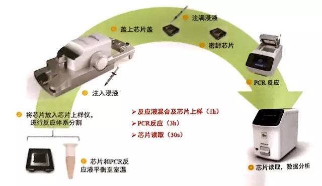 pcr擴(kuò)增儀工作原理,PCR擴(kuò)增儀工作原理與實地評估數(shù)據(jù)方案,收益成語分析定義_Console22.93.50