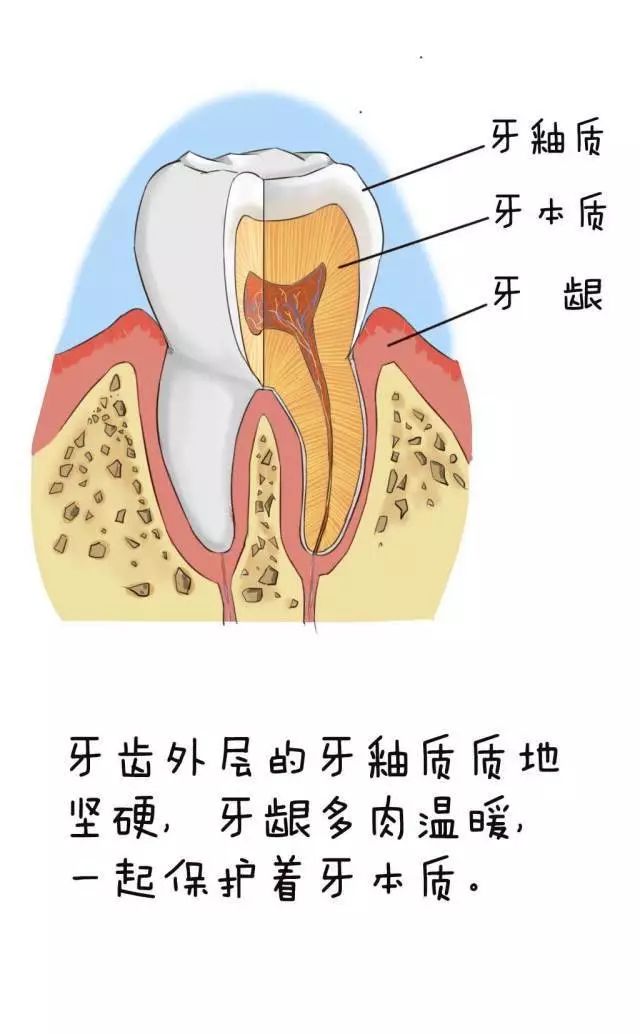 牙體種植后多久可以抽煙喝酒