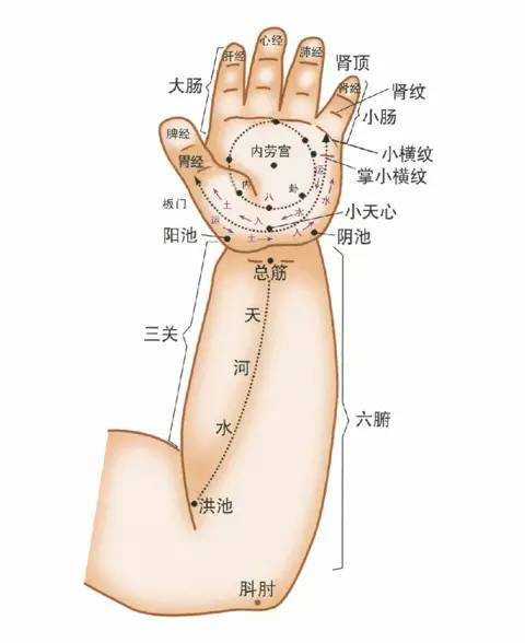 推拿按摩圖片手法