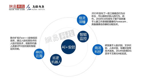 大專人工智能技術(shù)服務(wù)專業(yè)