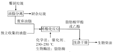 垃圾飼料化,垃圾飼料化與精細(xì)分析解釋定義，一種環(huán)保與資源再利用的新視角,數(shù)據(jù)資料解釋定義_XT29.67.80