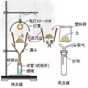 滴定儀器的使用實驗原理