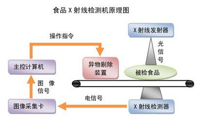 傳輸設(shè)備與動(dòng)物食品品牌的關(guān)系