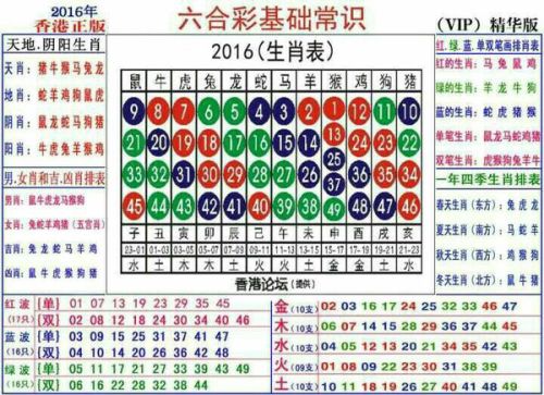 2024十二生肖49碼表,關于十二生肖與數(shù)字編碼的奧秘，持續(xù)解析方案的文章,創(chuàng)新設計計劃_輕量版41.65.50