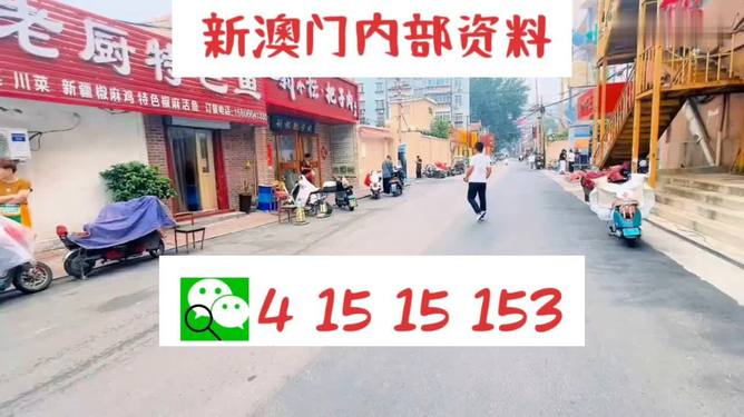 2024澳門天天開(kāi)好彩精準(zhǔn)24碼,探索未來(lái)游戲世界，澳門天天開(kāi)好彩的動(dòng)態(tài)解釋與精準(zhǔn)預(yù)測(cè)策略,效率資料解釋定義_設(shè)版88.96.77