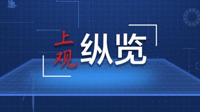 這些瞬間記錄了溫暖的2024