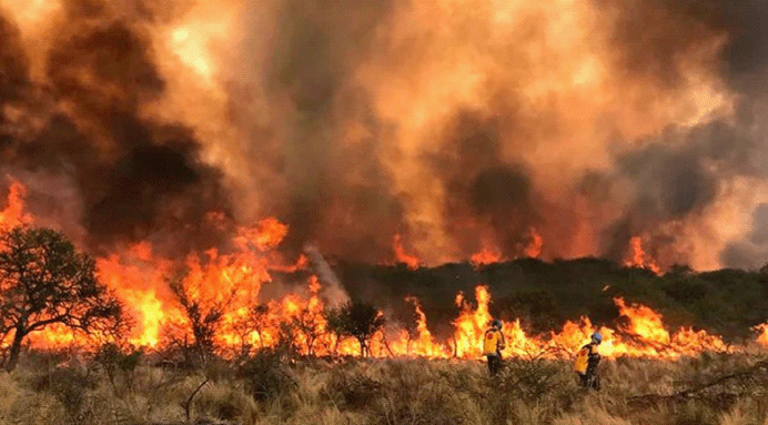 山火肆虐 拜登說好消息是當曾祖父了