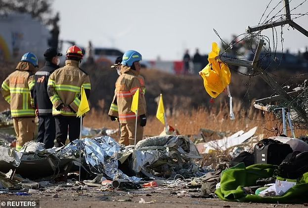 韓國空難機(jī)場跑道盡頭為何有墻