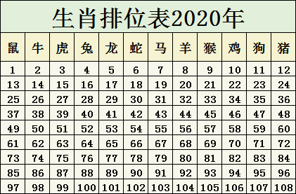 2025生肖排碼表 正宗版圖,深入解答解釋定義_負(fù)版55.33.85